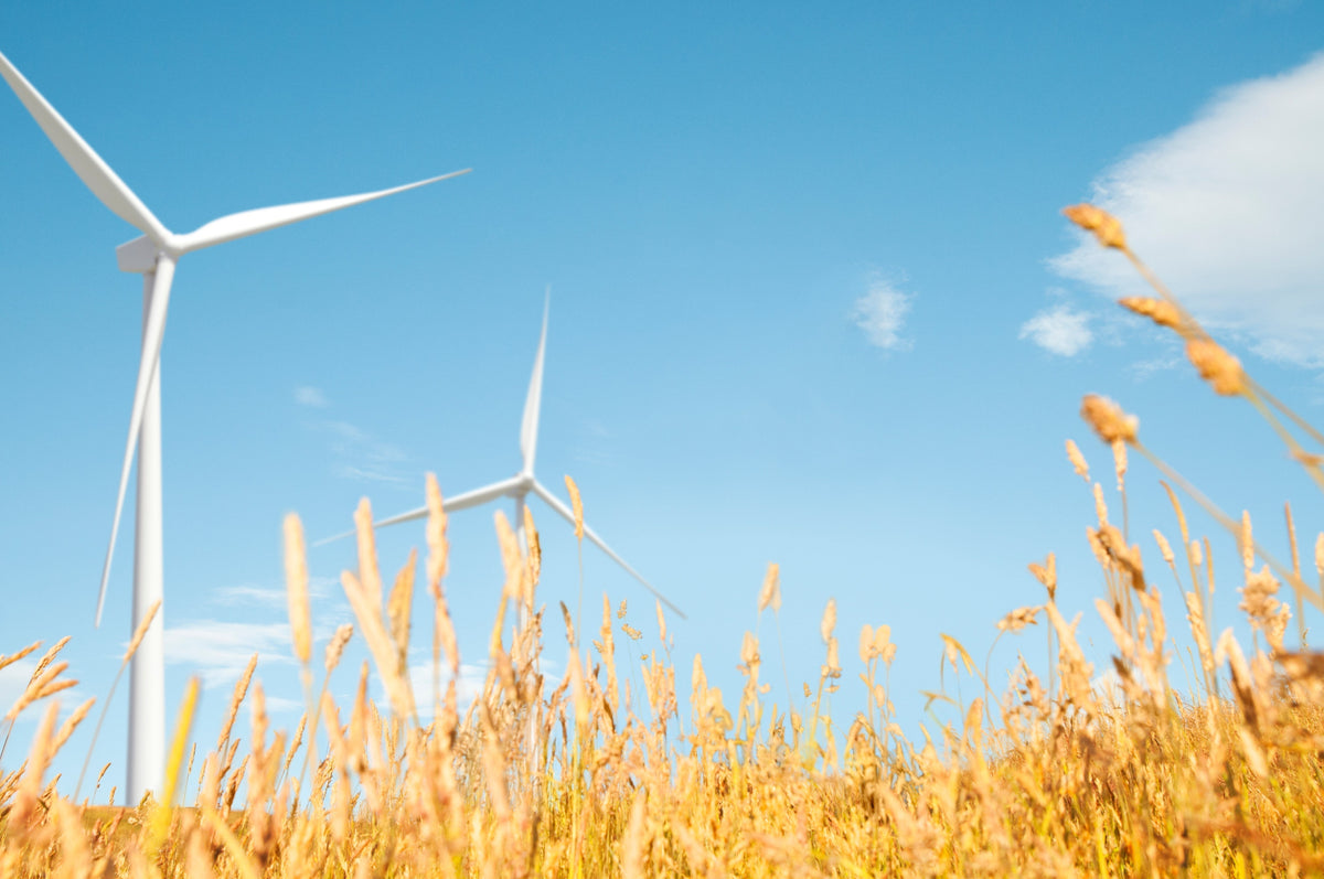 Anymeters.co.uk Renewable Energy