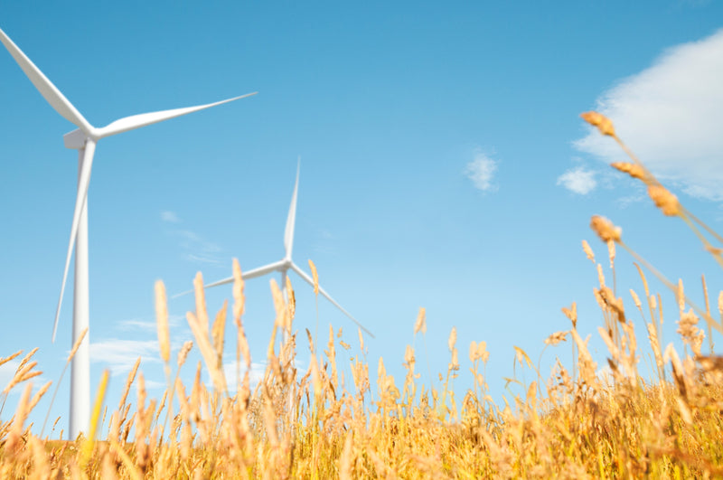  Anymeters.co.uk Renewable Energy