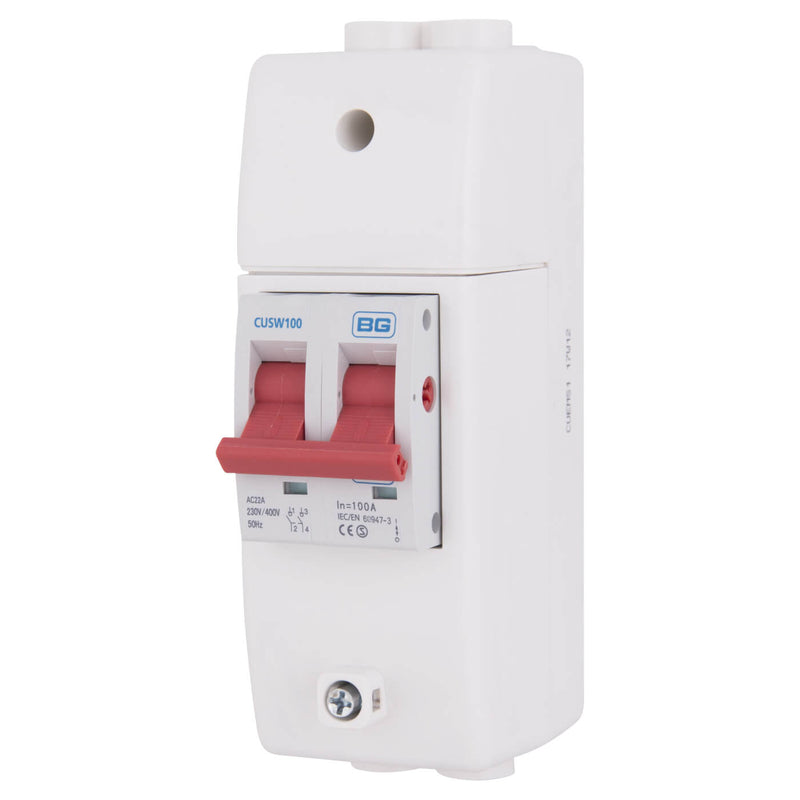 BG 100A Main Isolator Switch